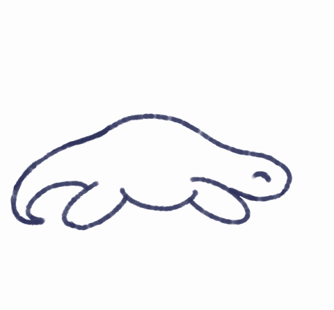 orpheus sleeping